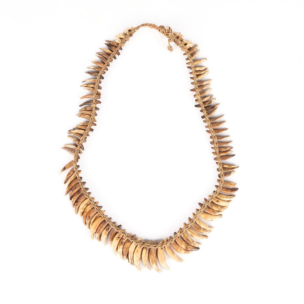 Lot 336: Early 20th c. PNG Asmat Dogtooth Necklace