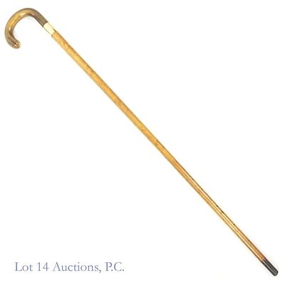 English Presentation Cane (12k Gold Horn). English presentation cane with wood body, horn handle 