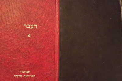 לוט: 2 כרכים של כתב העת, "העבר" פטרוגרד . "העבר", כתב עת לדברי ימי היהודים והיהדות . פטרוגרד