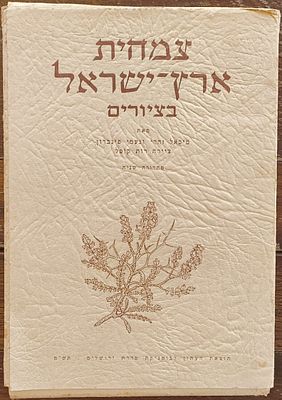 צמחית ארץ־ישראל בציורים. אלבום בוטני עברי מוקדם המוקדש לצמחיית ארץ־ישראל. כולל לוחות איור 