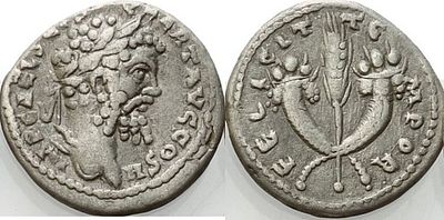 Denarius – Septimius Severus (AD 193–211). Obverse: Laureate head of Septimius Severus to the 