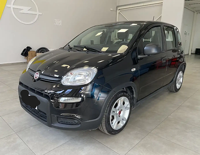 Fiat Panda 2024. 12 000 Km
Tipo di motore: Gas.