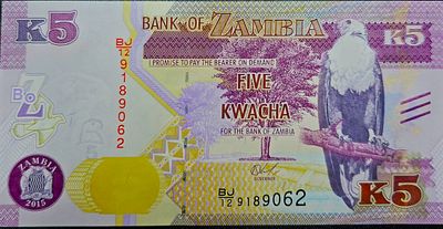 זמביה שטר בעריך 5 קואצ'ה משנת 2015