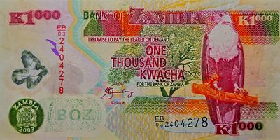 זמביה שטר בעריך 1000 קואצ'ה משנת 2003
