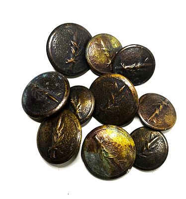 ישראל מקבץ 10 כפתורי מתכת צבאיים מוקדמים בשני גדלים ועליהם סימלי החרב ועלי הזית