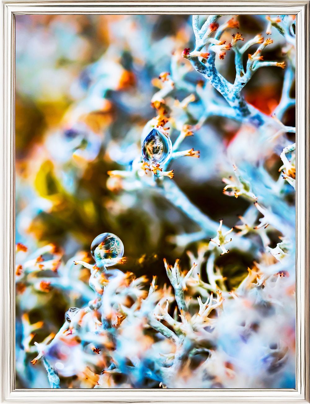 Inna Etuvgi, "The Horus Eye", 2022, Gicle&egrave; print on Canson Fine Art paper, Edition 3/25, cm 40 &times; 30