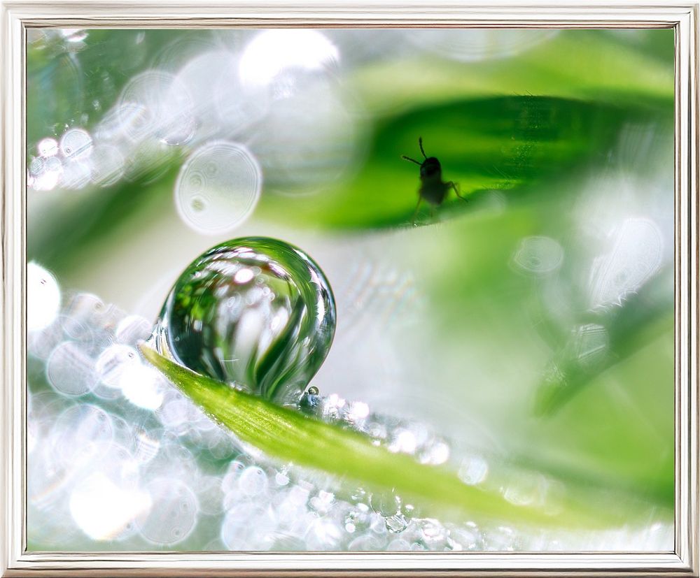 Inna Etuvgi, "Morning Dew Tales", 2024, Gicle&egrave; print on Canson Fine Art paper, Edition1/15, cm 