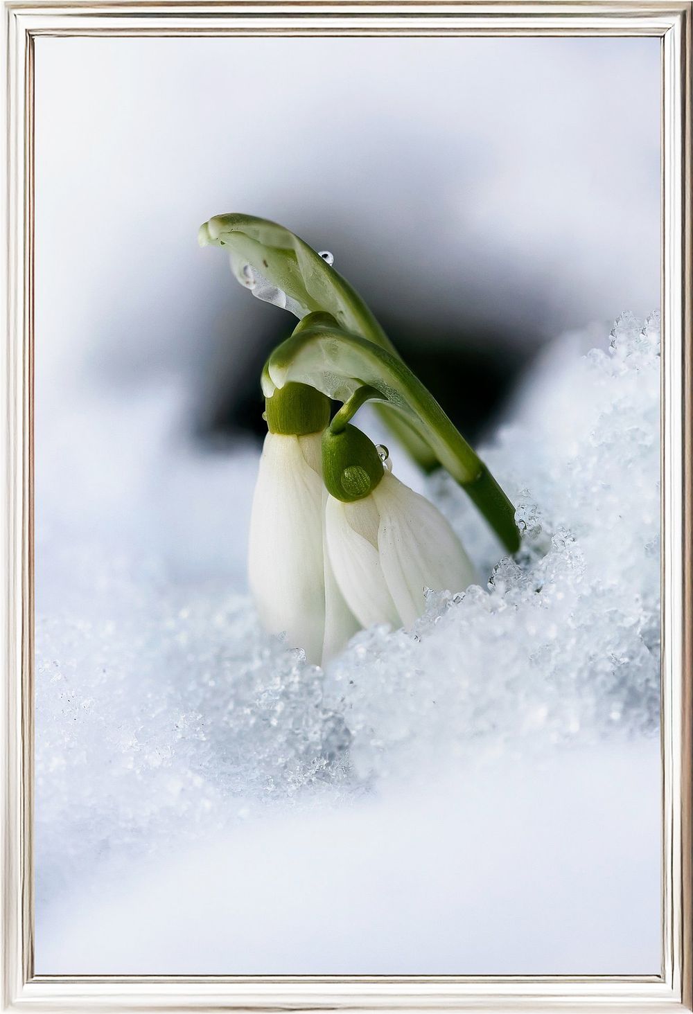 Inna Etuvgi, ”After Winter Comes Spring", 2024, Gicle&egrave; print on Canson Fine Art paper, Edition 