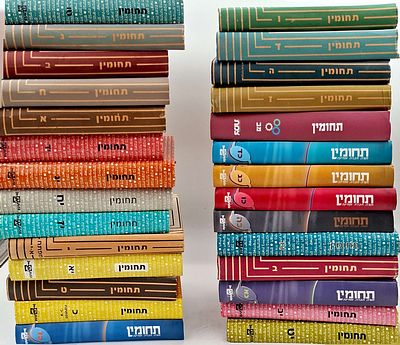 לוט תחומין- מצב מעולה.