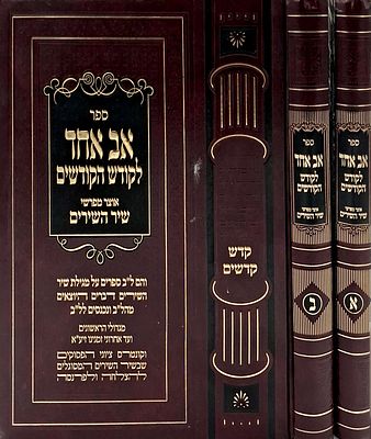 אב אחד לקודש הקודשים ב' כרכים- 32 ספרים בב' כרכים אוצר ומקבץ נפלא של אלפי פירושים וביאורים על 