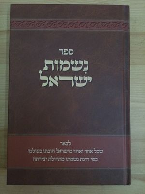 ספר 'נשמות ישראל', הבא לבאר ולהוכיח, שחובת כל אחד מישראל בעולמו, היא כפי דרגת נשמתו ביצירתו. 