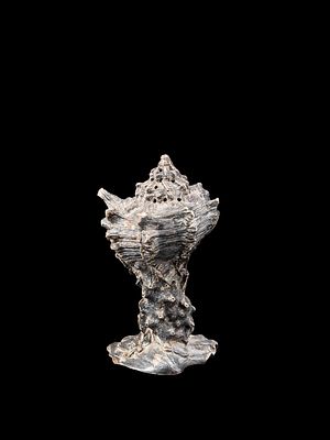 SILVER SAUCER, 19th century. h cm 11,2.Shaped like a shell and covered with floral decorations; 