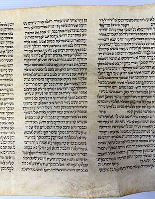 מגילת אסתר קלף סופר על קלף. לא נבדקה כשרות גובה הקלף 28 ס״מ