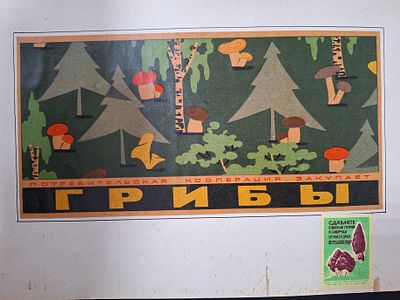 Грибы, лекарственные растения, охрана природы. 2 Листа обклеены с 2х сторон. Спичечные 