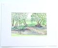 BIN PRICE $20. ISOBEL PAGE PARK IN NIAGARA PLEIN AIR WATERCOLOR
Founding member of the Image - 1