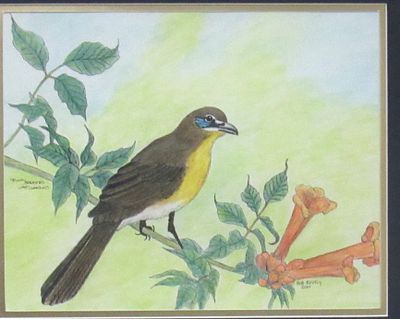 BIN PRICE $20. SIGNED WATERCOLOUR ON ARTISTS PAPER.