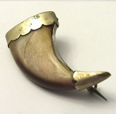 BUY-IT-NOE PRICE $75. STERLING SILVER VICTORIAN TIGER CLAW PIN.