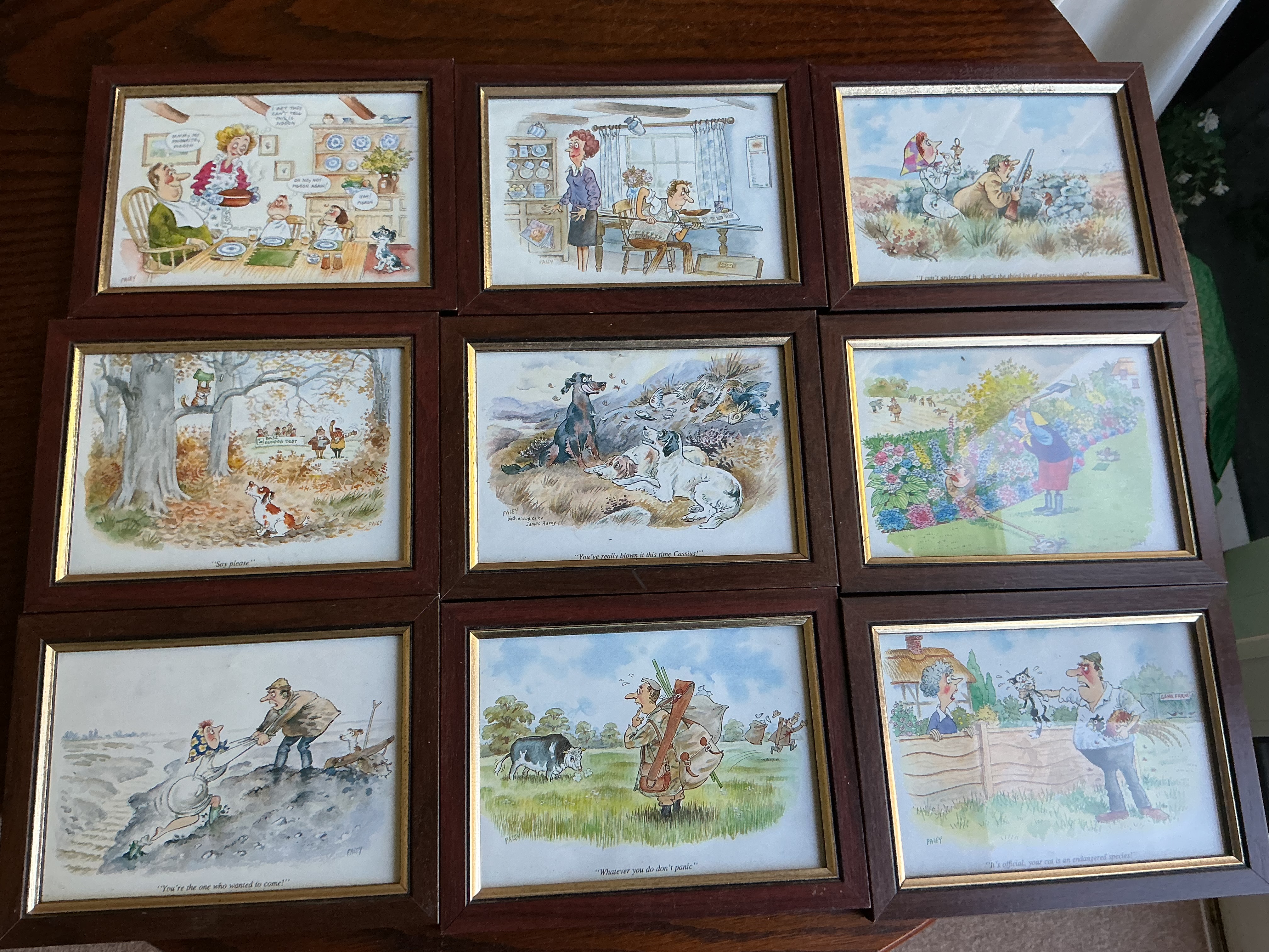 A Collection of Framed Humorous Country Life Prints after John Paley
