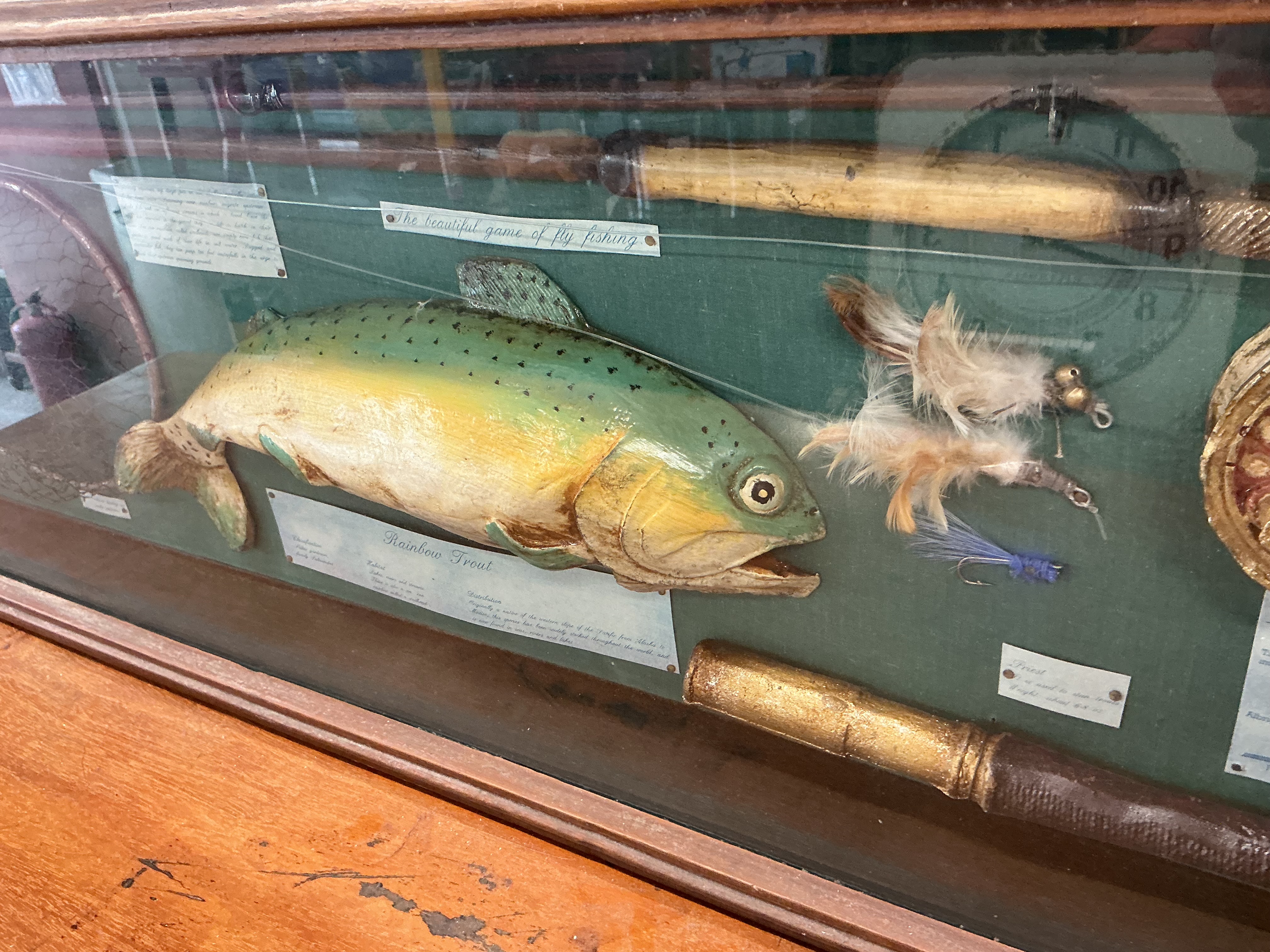 Vintage Fly Fishing Shadowbox Display with Rainbow Trout Specimen