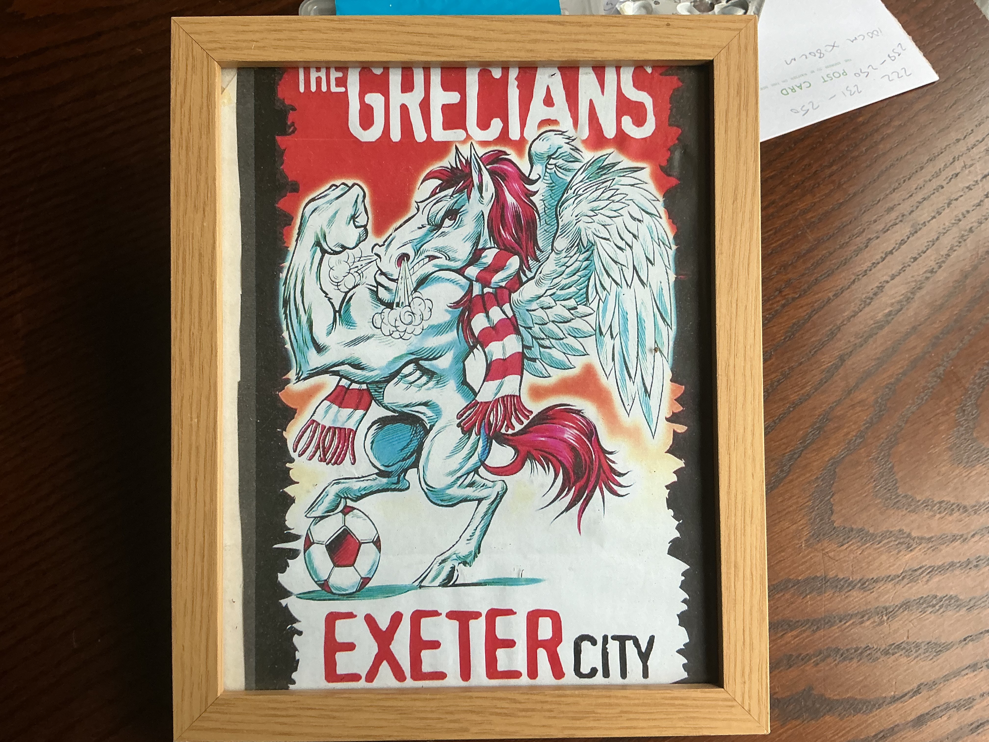 Framed Exeter City F.C. Illustration The Grecians