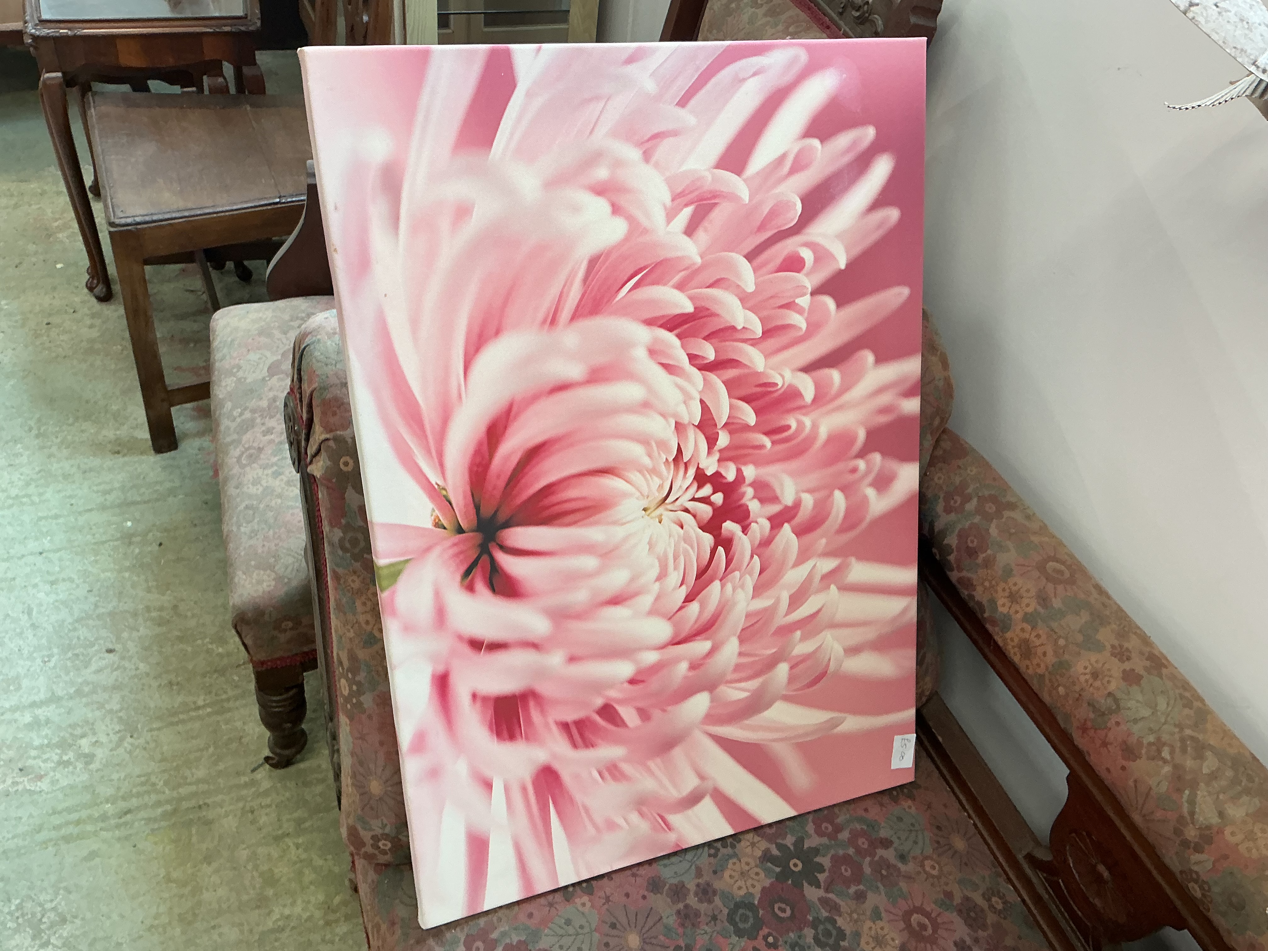 Contemporary Photographic Canvas Print of a Pink Chrysanthemum