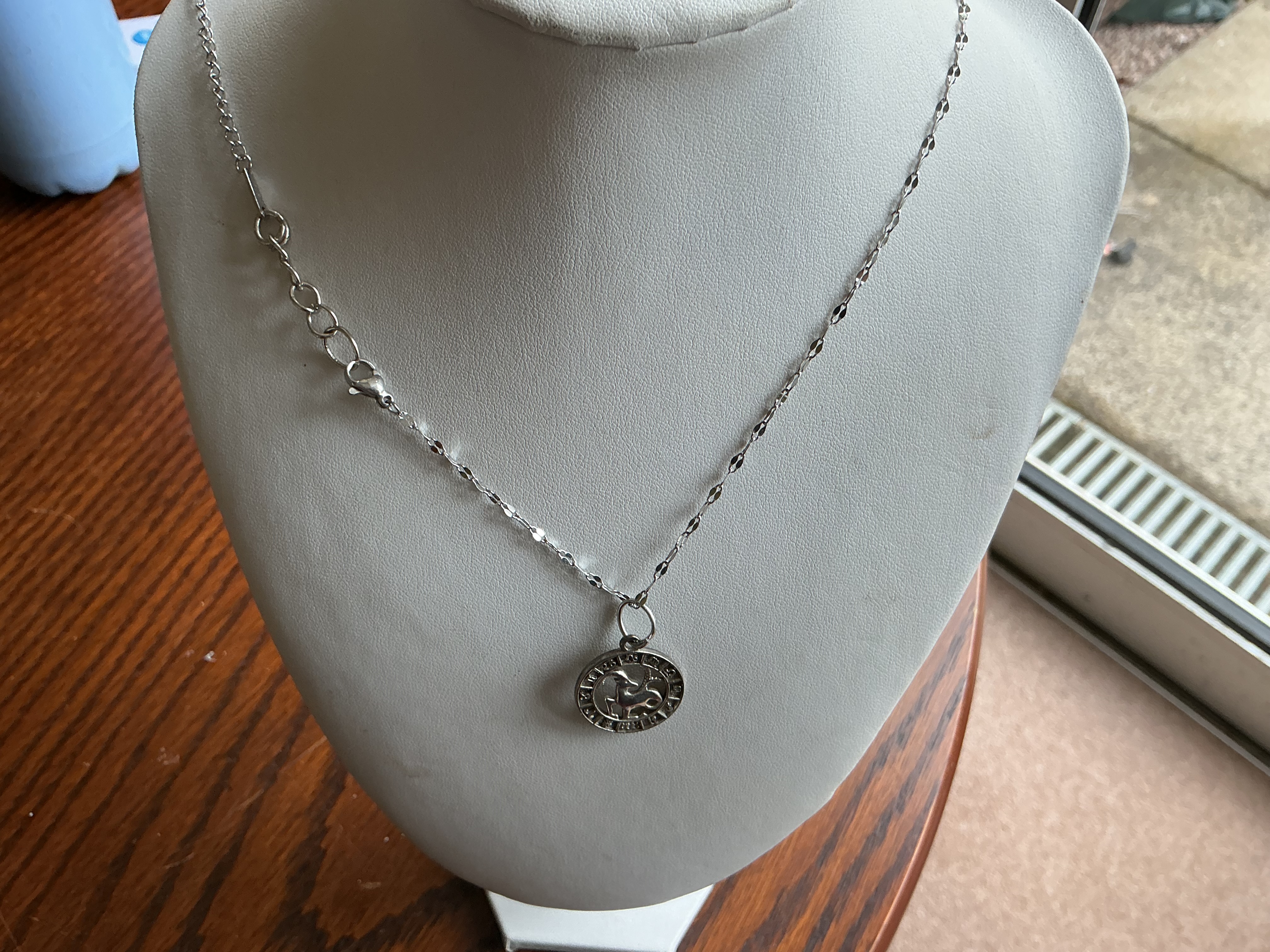 Capricorn. A Silver-Toned Zodiac Medallion Pendant Necklace with Fancy-Link Chain
