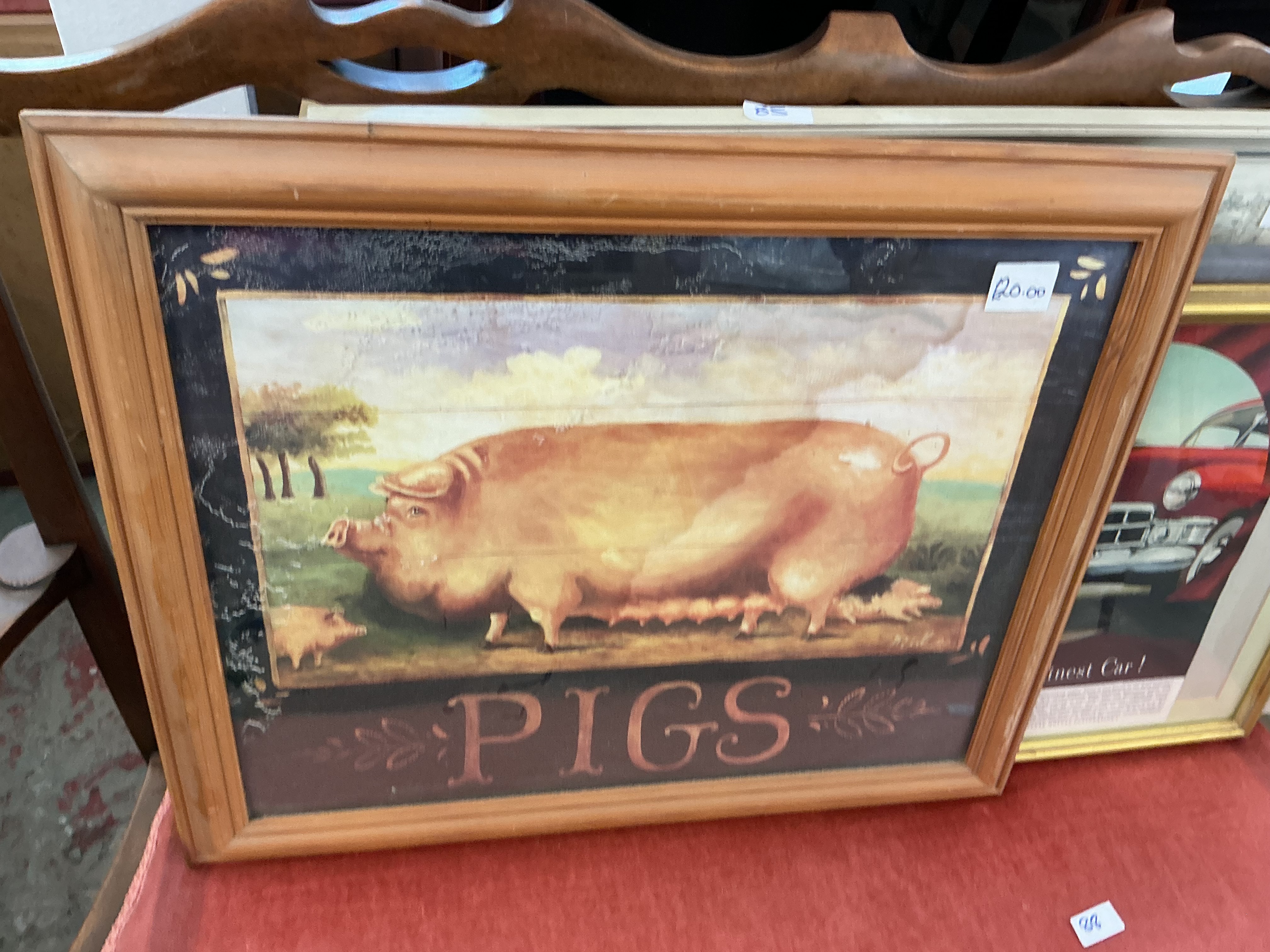 English School, 20th Century, Decorative Prize Pig Print