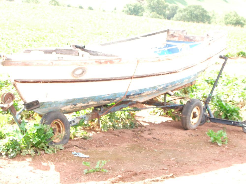 Lot 121: A wooden clinker-built dayboat on a single-axle trailer