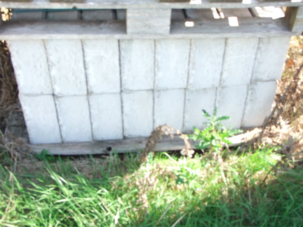 Lot 41: A Lot of Approximately 16 Aerated Concrete Blocks on a Wooden Pallet