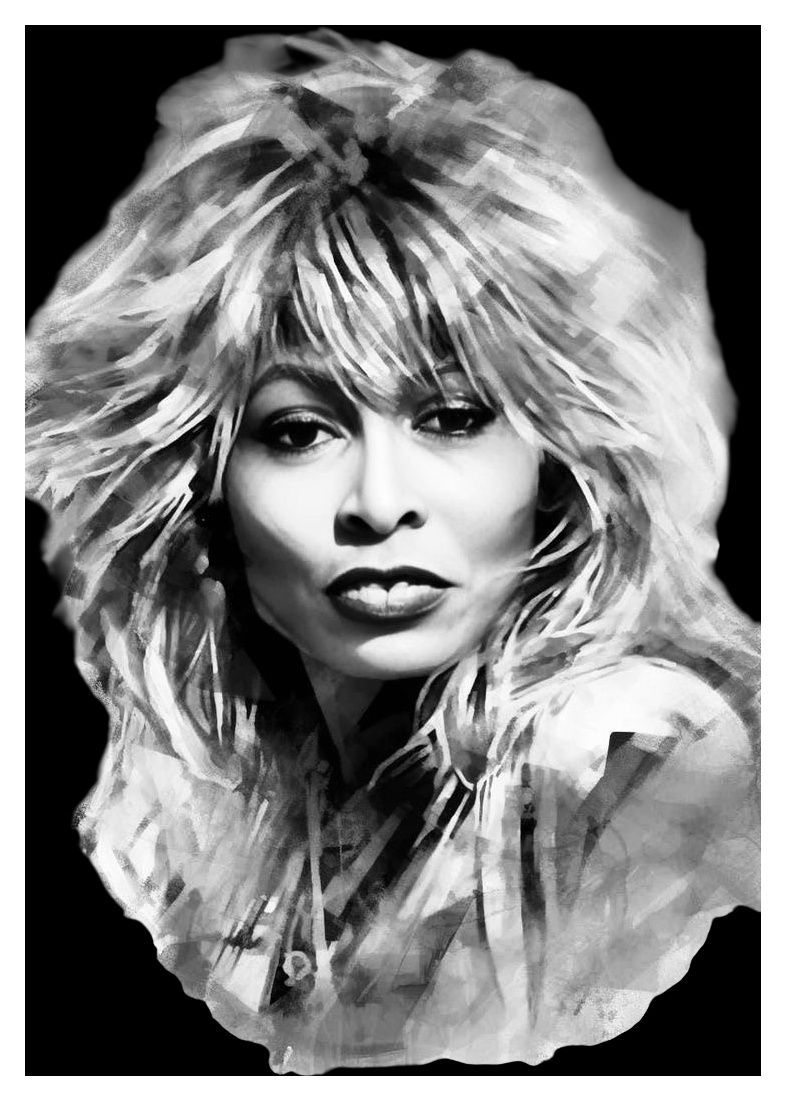 Lot 142: Contemporary Monochrome Portrait of Tina Turner
A3 poster. £3 post most uk postcodes. No reserve.