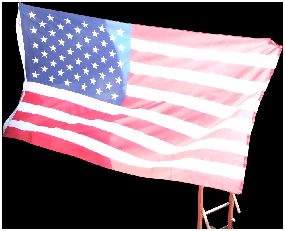 Lot 161: A 50-Star United States National Flag. No reserve.