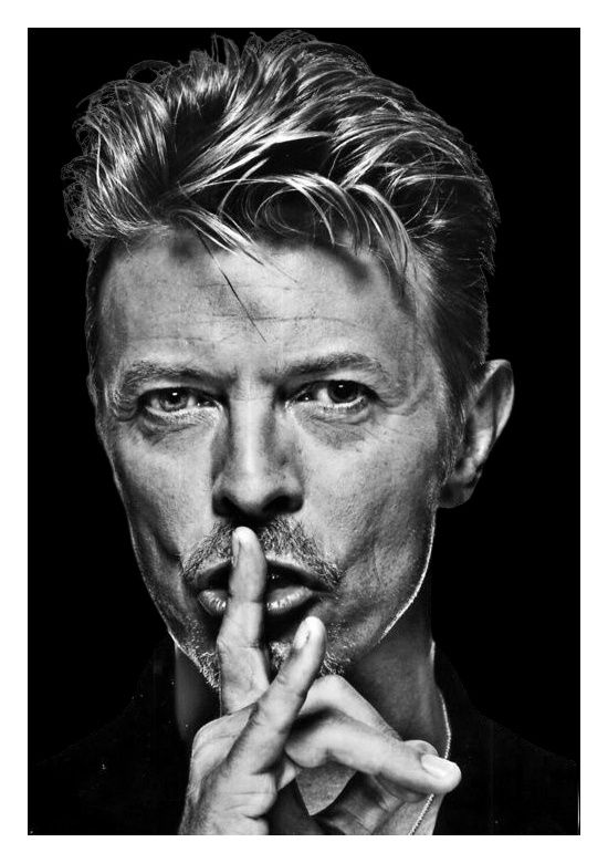 Lot 171: A Silver Gelatin Print Portrait of David Bowie.A3. No reserve. £3 postage most uk postcodes.