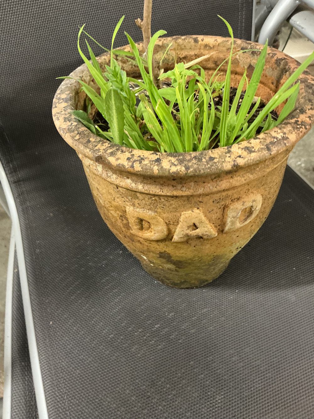 Lot 345: Weathered Terracotta Garden Planter with Applied Relief DAD Lettering
