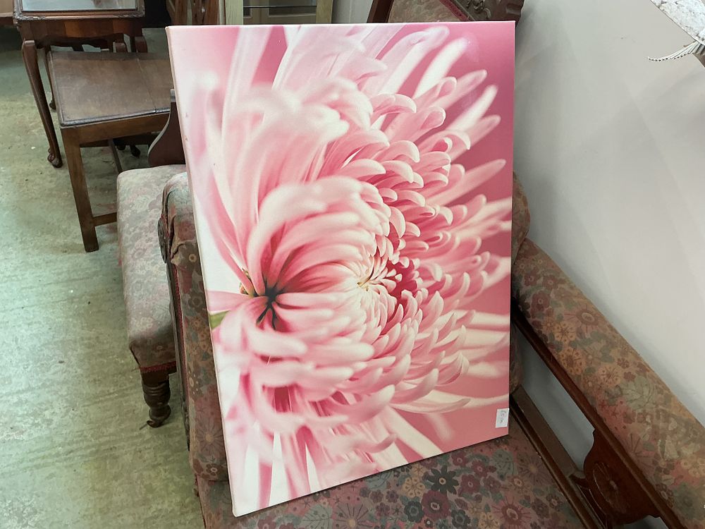Lot 374: Contemporary Photographic Canvas Print of a Pink Chrysanthemum