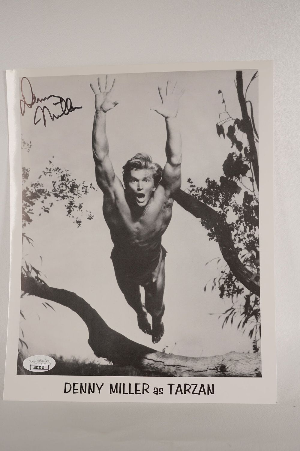 Lot 886: Denny Miller, Wagon Train Tarzan, Actor AUTOGRAPHED 8 x 10 B & W Photo w/COA