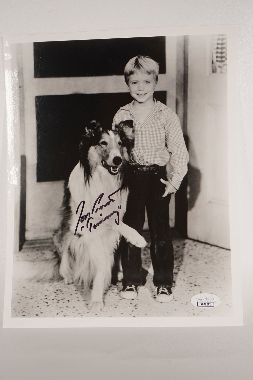 Lot 894: Jon Provost, Lassie, Actor AUTOGRAPHED 8 x 10 B & W Photo w/COA