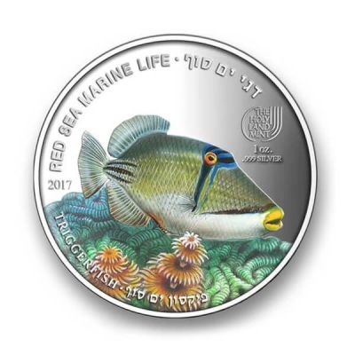 5 Dollar. Picasso Triggerfish Red Sea Marine Life 
Issue year: 2017 
Country: Palau 
