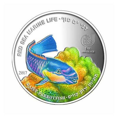 5 Dollar. Daisy Parrotfish Red Sea Marine Life 
Issue year: 2017 
Country: Palau 
Metal: 