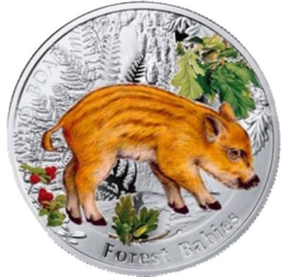 1 Dollar. Wild Boar Forest Babies 
Country: Niue 
Year: 2014 
Metal: 999 silver 