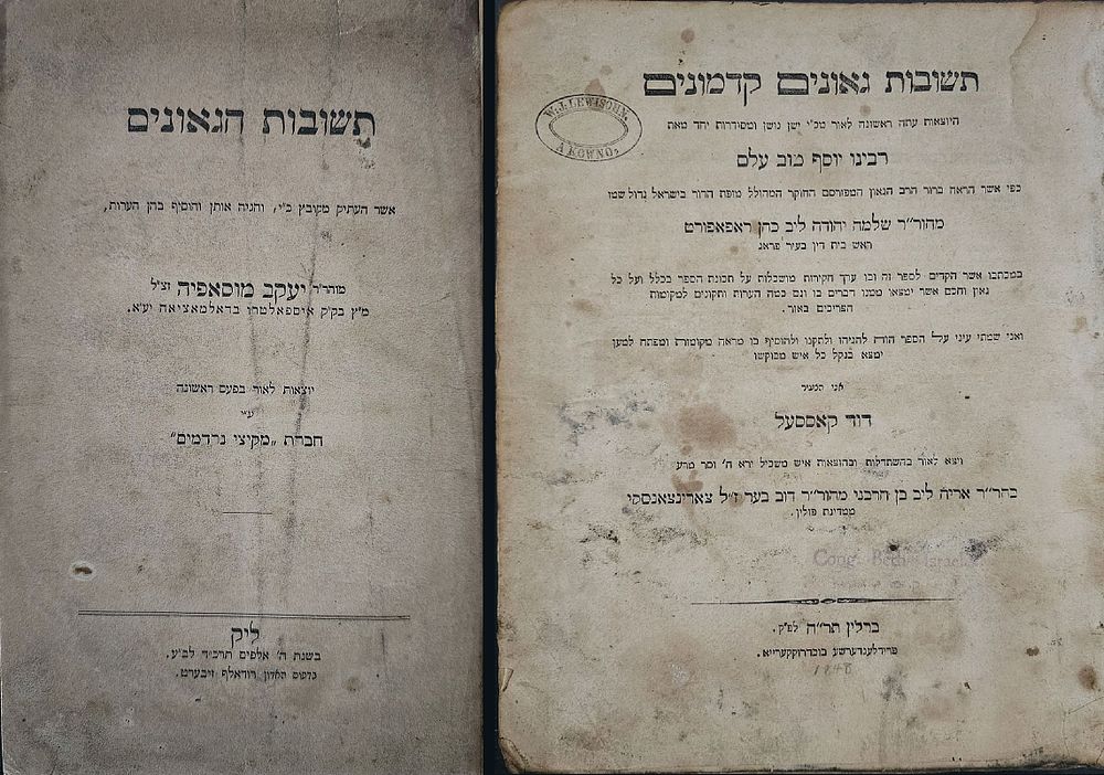 מסורת | מכירה  105 | ספרי קודש ושואה חסידות, ומכתבי רבנים - הרוב מתחיל ב- 10$