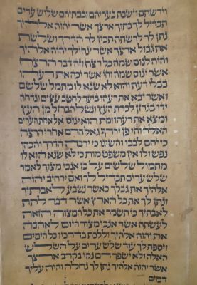 ספר תורה גויל צפון אפריקא המאה ה19. כתיבה נאה כתב אחיד ככל הנראה לא הוחלפו יריעות ניקבי עש 