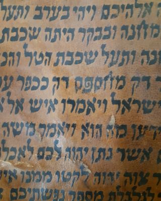 ספר תורה גוויל אדום תימן המאה ה18
אותיות מלופות . לאורך הספר ככל הנראה באותו תקופה כתיבה שונה 