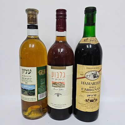 לוט שלושה בקבוקי אלכוהול. 
1. יין עציון - יקבי ציון. 
יין לבן חצי יבש - 750 מ"ל, 11.5 