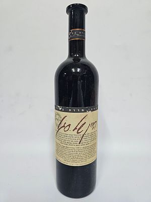 בקבוק יין אדום יבש - היין של סגל - קברנה סובניון - מרלו - 1995