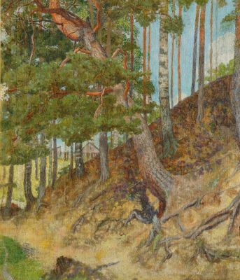 Тагрина Любовь. Пейзаж (Карелия). 1930-е гг. Холст, масло. 50,5х45,5 см. Работа в хорошем 