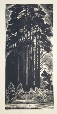 Ковалев Алексей. Сосны. 1963-65 гг. Бумага, линогравюра. 44х20,3 см (лист 61,5х42,5 см). Работа 