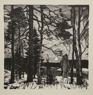 Ушин Андрей. В лесу. 1965 г. Бумага, линогравюра, 40х38,5 см (размер листа). Работа в хорошем 