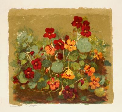 Масленникова Ирина. Настурции. 1956 г. Бумага, цветная литография. 33х35,5 см (лист 46,6х51,6 см). 