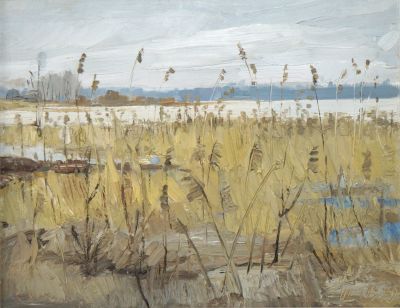 Ковалев Алексей. Камыши. 1979 г. Картон, масло. 40х50 см. Работа в хорошем состоянии, за 