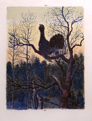 Кукс Миней. Охота на глухаря. 1950-е гг. Бумага, цв. литография, 50,5х40,5 см (размер листа). Раб 